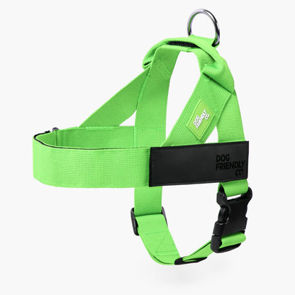 Dog Friendly Co. Walking Harness - Easy-To-Fit No-Pull Design, Chafe-Resistant Lightweight Straps, Adjustable Straps for Perfect Fit - Secure Walks, All-Day Wear Comfort - Simple Clip for All Dogs