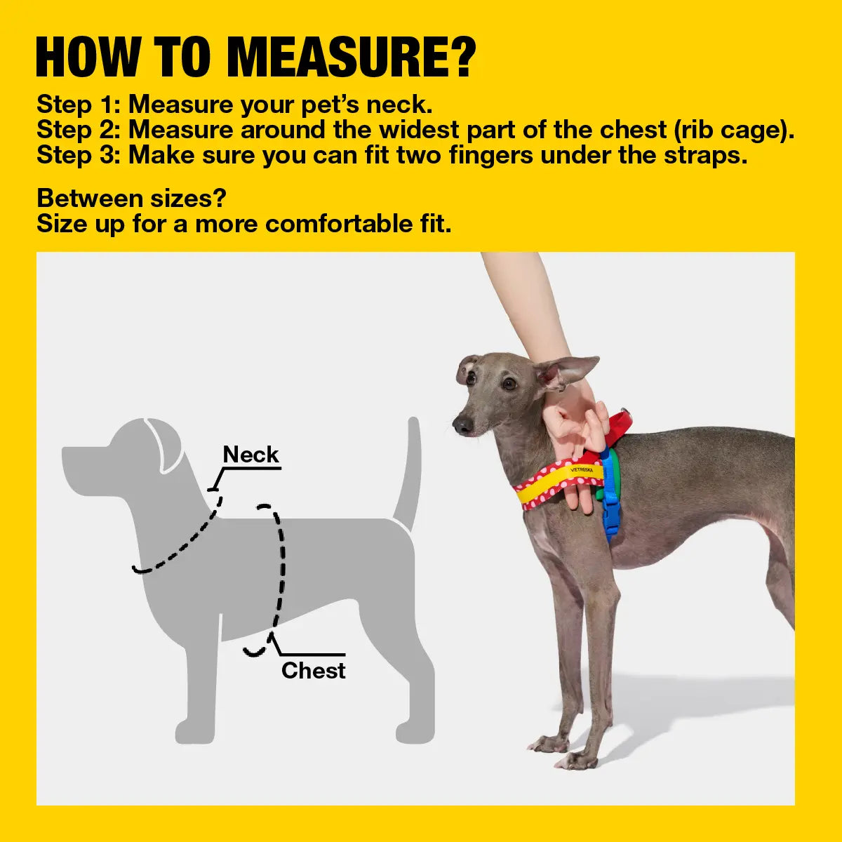 VETRESKA Moma Dog Harness and Leash Set, Easy Walk Dog Harness for Small Medium Dogs, No Pull Puppy Harness for Walking and Training, Adjustable, Take Control & Anti-Twist Pet Lead Combo