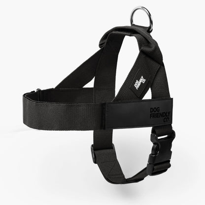 Dog Friendly Co. Walking Harness - Easy-To-Fit No-Pull Design, Chafe-Resistant Lightweight Straps, Adjustable Straps for Perfect Fit - Secure Walks, All-Day Wear Comfort - Simple Clip for All Dogs