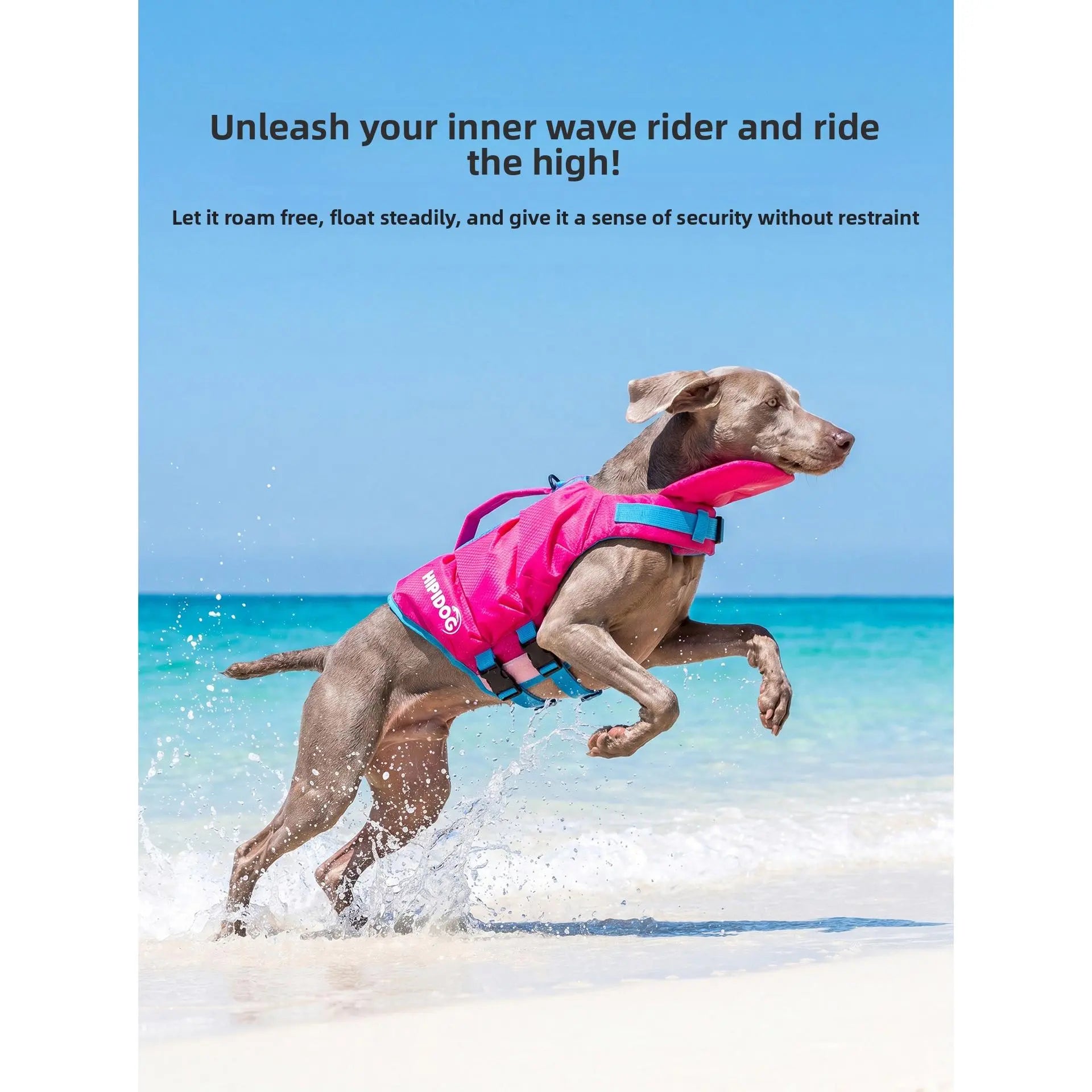 Dog Life Jacket - Pet High-Visibility Float Vest with Bright Contrast Colors, Ripstop Quick-Drying Fabric, Head Support for Pool, Lake, Ocean Activities
