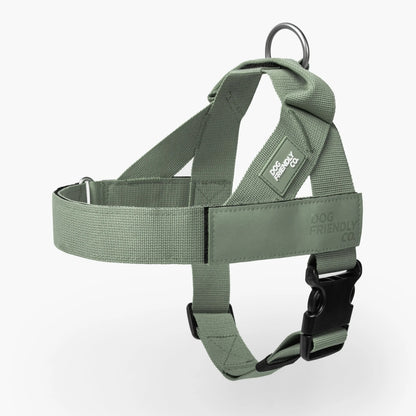 Dog Friendly Co. Walking Harness - Easy-To-Fit No-Pull Design, Chafe-Resistant Lightweight Straps, Adjustable Straps for Perfect Fit - Secure Walks, All-Day Wear Comfort - Simple Clip for All Dogs