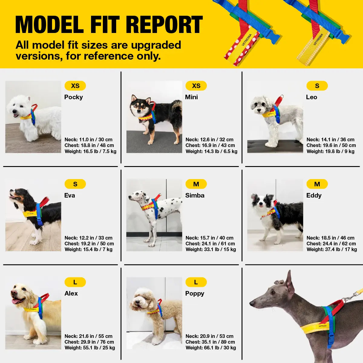 VETRESKA Moma Dog Harness and Leash Set, Easy Walk Dog Harness for Small Medium Dogs, No Pull Puppy Harness for Walking and Training, Adjustable, Take Control & Anti-Twist Pet Lead Combo