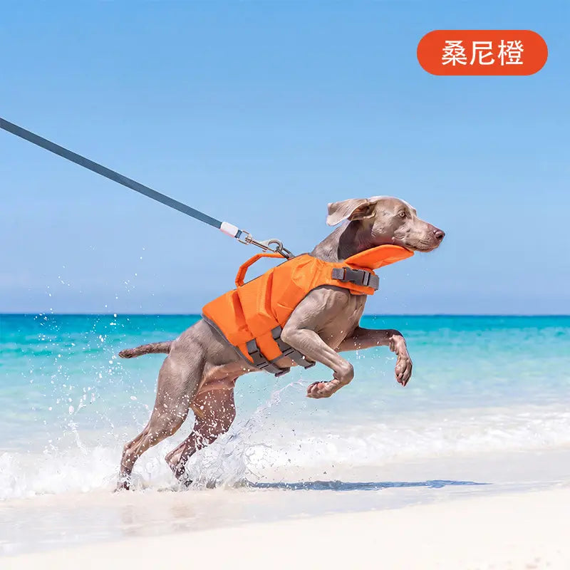 Dog Life Jacket - Pet High-Visibility Float Vest with Bright Contrast Colors, Ripstop Quick-Drying Fabric, Head Support for Pool, Lake, Ocean Activities