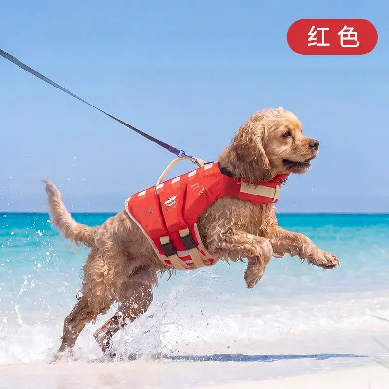 Dog Life Jacket - Pet High-Visibility Float Vest with Bright Contrast Colors, Ripstop Quick-Drying Fabric, Head Support for Pool, Lake, Ocean Activities