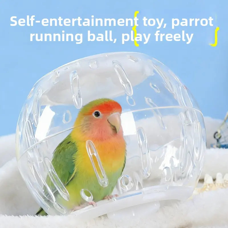 Geometric Stain-Resistant Bird Running Ball Toy - Tree/Condo Compatible Sports & Entertainment Toy for Tiger Skin, Peony Parrots