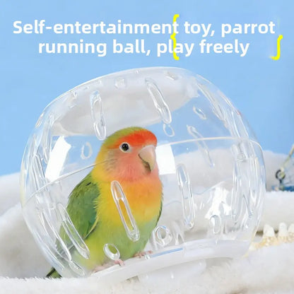 Geometric Stain-Resistant Bird Running Ball Toy - Tree/Condo Compatible Sports & Entertainment Toy for Tiger Skin, Peony Parrots