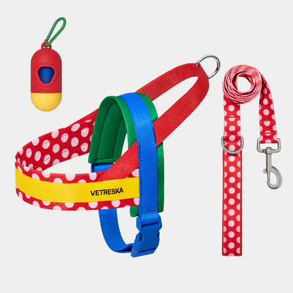 VETRESKA Moma Dog Harness and Leash Set, Easy Walk Dog Harness for Small Medium Dogs, No Pull Puppy Harness for Walking and Training, Adjustable, Take Control & Anti-Twist Pet Lead Combo