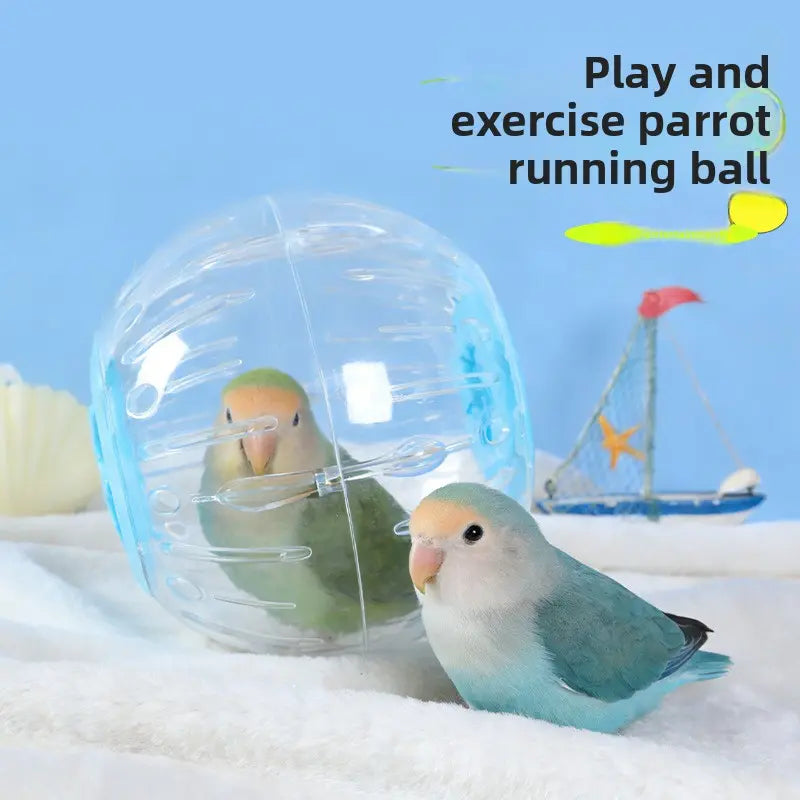 Geometric Stain-Resistant Bird Running Ball Toy - Tree/Condo Compatible Sports & Entertainment Toy for Tiger Skin, Peony Parrots