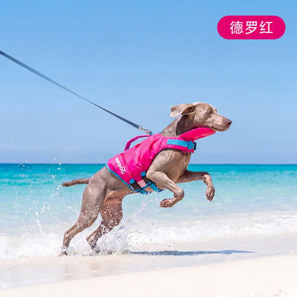 Dog Life Jacket - Pet High-Visibility Float Vest with Bright Contrast Colors, Ripstop Quick-Drying Fabric, Head Support for Pool, Lake, Ocean Activities