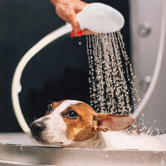 Pet Shower Sprayer – Multifunctional Dog & Cat Bathing Tool | Easy-Use Grooming & Cleaning Sprayer for Home & Garden