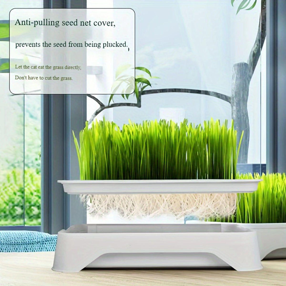 Cat Grass Growing Kit – Hydroponic Cat Grass Planter with Soilless Growing Tray | Wheatgrass Planting Pot for Cats