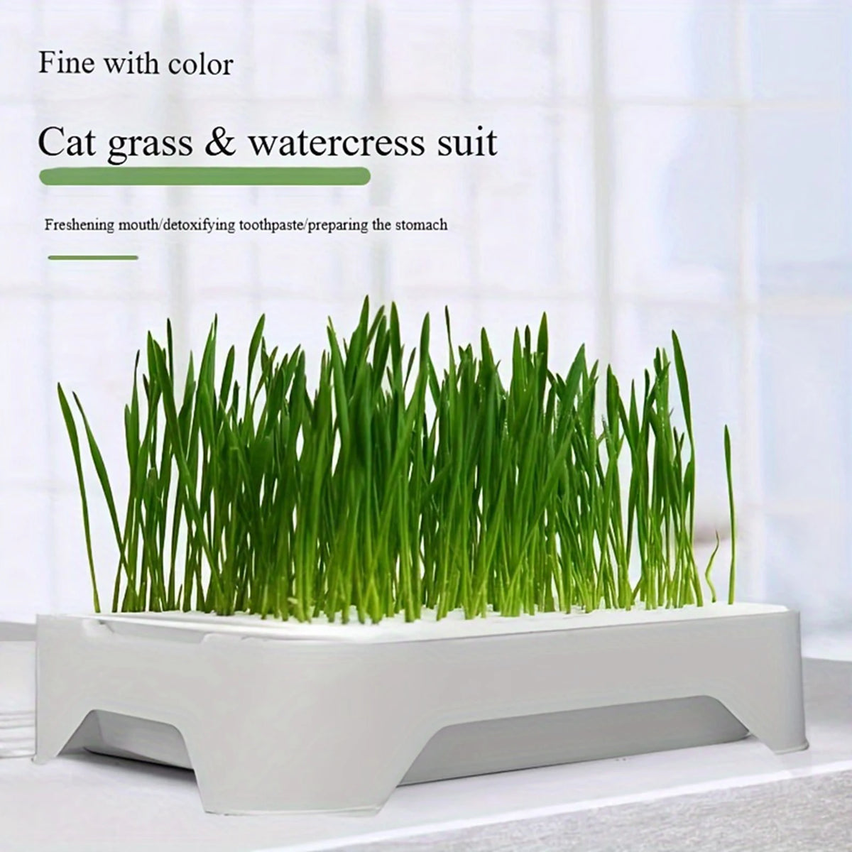 Cat Grass Growing Kit – Hydroponic Cat Grass Planter with Soilless Growing Tray | Wheatgrass Planting Pot for Cats