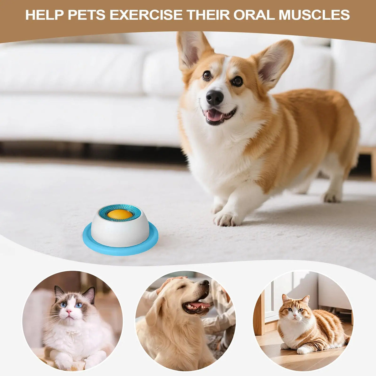 Interactive Dog Treat Puzzle Toy – Slow Feeder & Food Enrichment Toy for Puppies and Dogs | Boredom Relief & Healthy Eating
