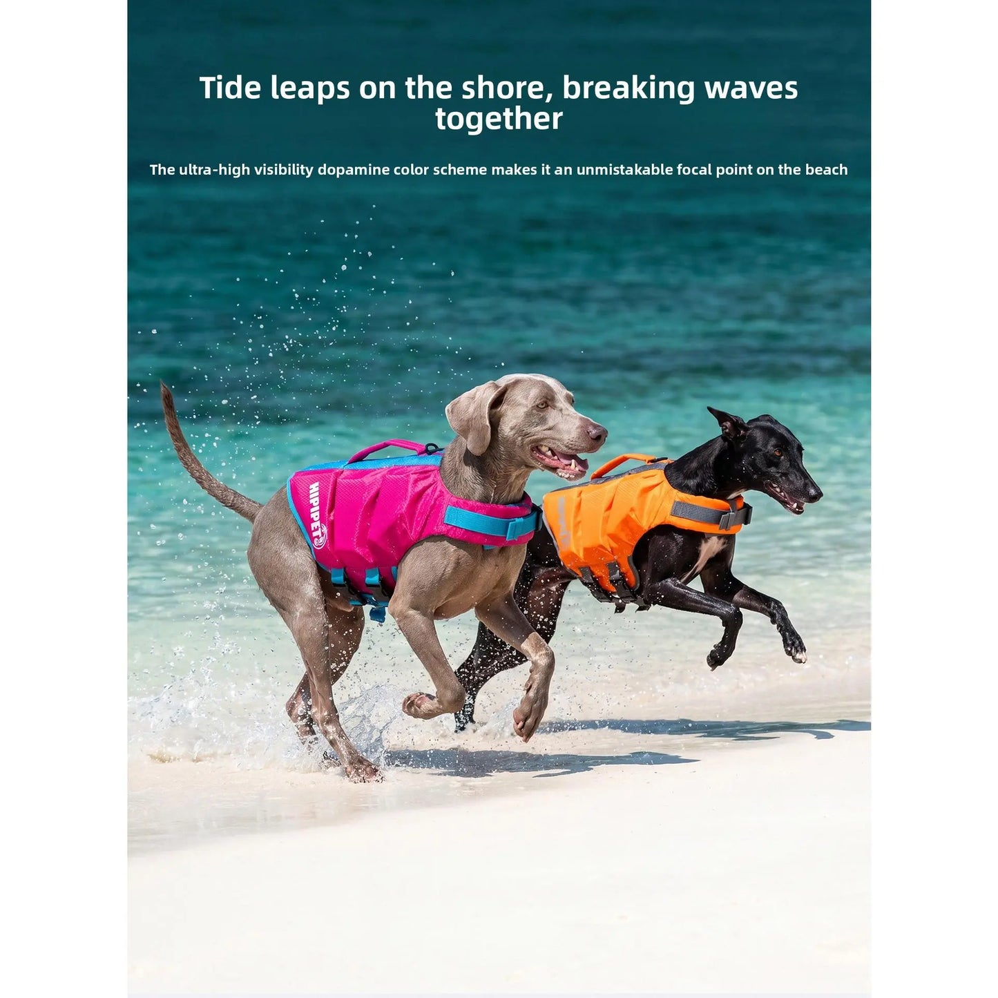 Dog Life Jacket - Pet High-Visibility Float Vest with Bright Contrast Colors, Ripstop Quick-Drying Fabric, Head Support for Pool, Lake, Ocean Activities