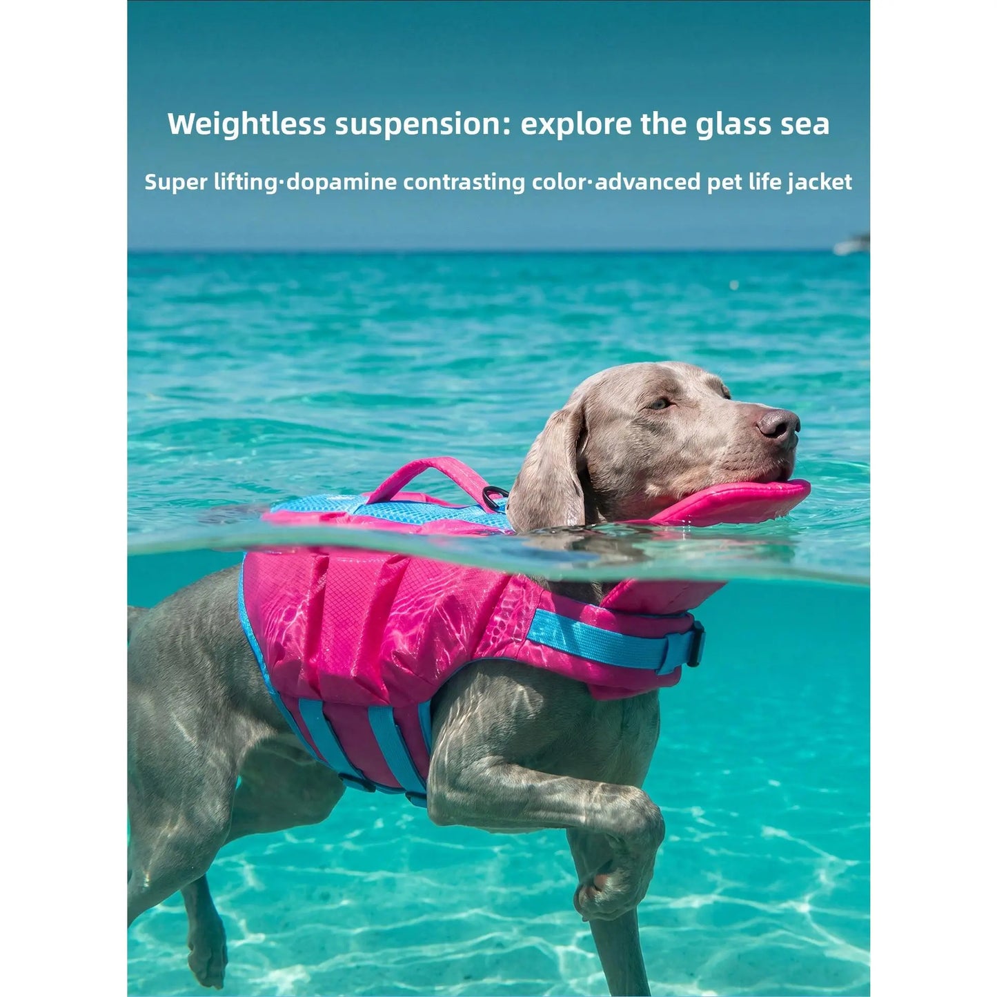 Dog Life Jacket - Pet High-Visibility Float Vest with Bright Contrast Colors, Ripstop Quick-Drying Fabric, Head Support for Pool, Lake, Ocean Activities