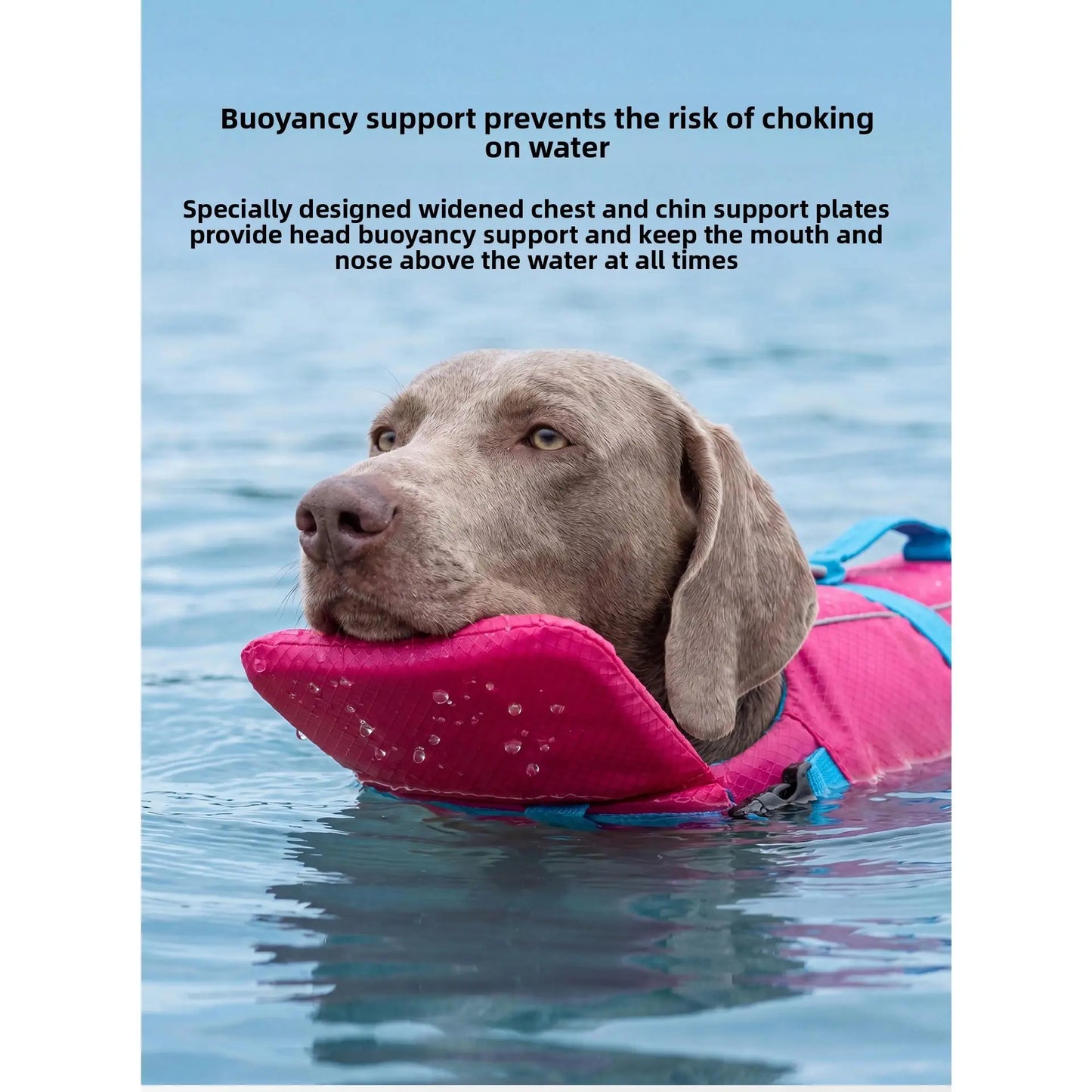 Dog Life Jacket - Pet High-Visibility Float Vest with Bright Contrast Colors, Ripstop Quick-Drying Fabric, Head Support for Pool, Lake, Ocean Activities